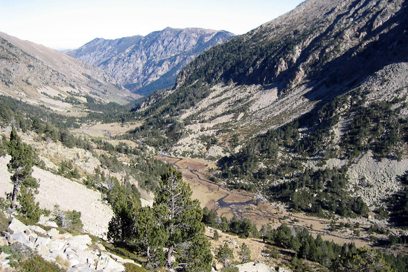 Chasse Photo